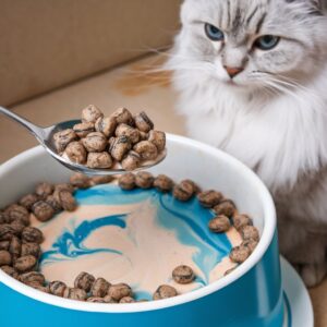 Top 5 Cat Foods: The Cat Owner's Complete Guide