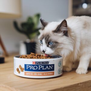 Top 5 Cat Foods: The Cat Owner's Complete Guide