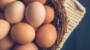 Eggs include many vitamins help in 10 healthy breakfast for Weight loss